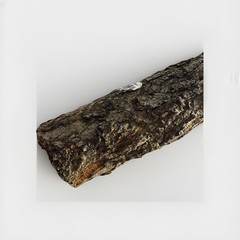 (RGB4) Natural Cork Bark Tube Log 10-11in Reptile Terrarium Hide Snake Gecko #6