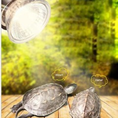 Reptile Lamp 25/50/75W UVA+UVB 3.0 Pet Heat Lamp Bulb Turtle Basking Light Bulbs