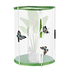 Outdoor Butterfly Habitat Cage Terrarium [White with Green, 12 x 12 x 16 Inch]