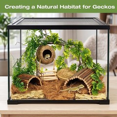 Crested Gecko Terrarium Accessories, Bearded Dragon Terrarium Accessories