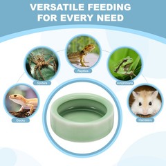 Reptile Food Bowl Worm Water Dish Ceramic Pet Bowl Small 2″ Plum Green