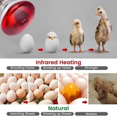 Heat Lamp for Chickens Coop Brooder and Reptile Heat Bulb 150 Watt Infrared R…