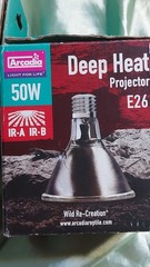 Arcadia Deep Heat Projector Bulb E26 50w For reptiles IR-A IR-B Reptiles/227e