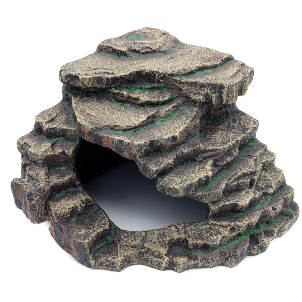 Bearded Dragon Habitat Accessories