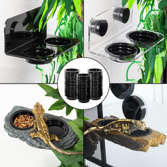 Magnetic Reptile Ledge, Acrylic Gecko Feeding Ledge with 6PCS Cups, Reptile Food