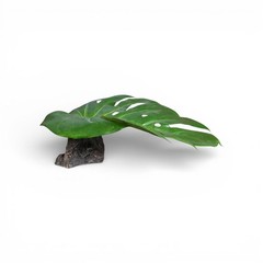 Magnatural XL Leaf Hide PT-332 Bearded Dragon Crested Gecko Reptile Lizard
