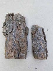 Reptile Terrarium Basking Climb and Shelter- Real Bark set of 2