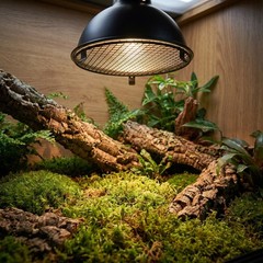2pc Heat Lamp Cover for Reptile Enclosures | 5.62 Inch Protective Mesh