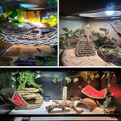 Reptile Hammock,Large Lizard Lounger,Bearded Dragon Tank Accessories Natural Sea
