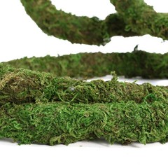 Moss Vine for Reptiles, Bendable Climbing Vines Reptile Tank Accessories, Nat…