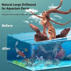 Hamiledyi 3 Pcs Natural Driftwood for Aquarium 7-12 Inch Driftwood Branches B…