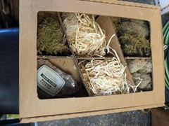 Reptile Habitat