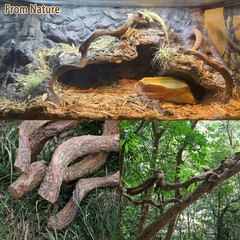 Reptile Decor 8PCS Natural Forest Branch Terrarium Habitat Decoration Lizard Cli