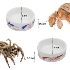 4 Pack Colorful Ceramic Water Bowls, Mini Reptile Food Dishes for Hermit Crab…