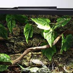 Aiicioo Reptile LED UVB Light – Terrarium Light with 3 Timing Function UVB Lamp