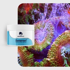 Benepets BeneReef Powder Complete Reef Nutrition – 1.4 Ounce (Pack of 1)