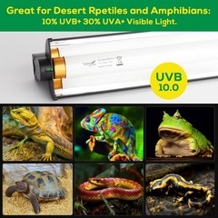 T5 UVB Reptile Light Fixture HO UVB Bulb Lighting Combo Kit, 10.0 UVB Light f…