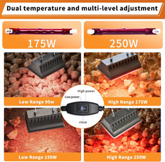 2 Pack 250W Infrared Heat Lamp for Poultry, Chicks & Small Pets