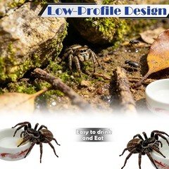 4 Pack Colorful Ceramic Water Bowls, Mini Reptile Food Dishes for Hermit Crab…