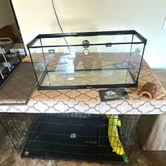 20 gallon Zoo Med Tank with Heater Pad, thermometers, humidity gauges and tunnel