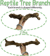 Reptile Branch Decor 2 Pcs Snake Climbing Wood Branches Lizard Habitat Decoratio