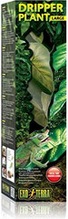 Dripper Plant, Large