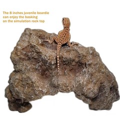 Reptile Hide Cave Resin Rock Habitat Decor Simulated Rock Hideout Amphibian
