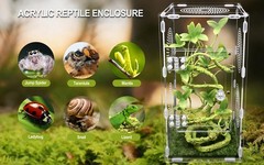 Large Jumping Spider Enclosure, Tarantula Enclosure with Front Opening Door, …
