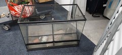 Exo Terra Glass Terrarium