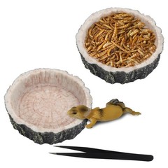 Yellow Reptile Water Bowl with Feeding Tweezers Food Dish Set
