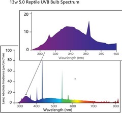 13W UVA/UVB 5.0 Light for Reptiles – Enhanced Health for Chameleons & Tree Frogs