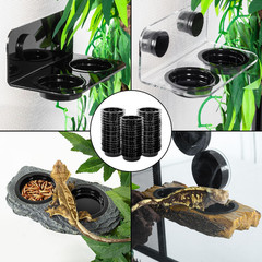 Magnetic Reptile Ledge, Acrylic Gecko Feeding Ledge with 6PCS Cups, Reptile Food