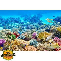 Riivvdise Aquarium Background 36×18 Marine Blue