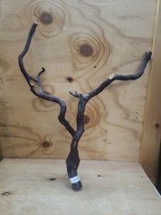 Forked Manzanita Branches craft bird perch reptile fish 26″ x 24″ (#49)