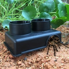 Reptile Shelter Leopard Gecko Hide Reptile Hides Caves Geckos