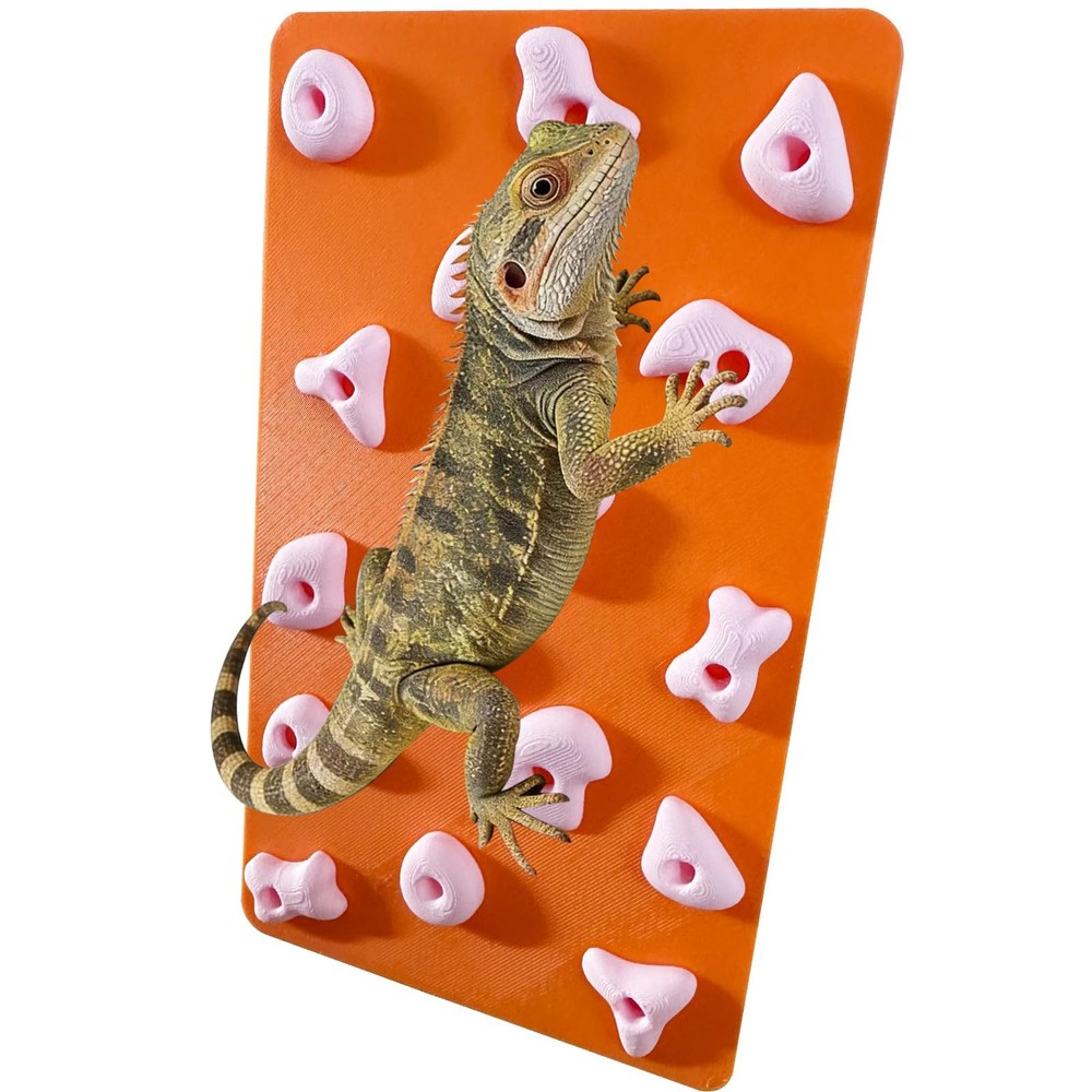 Okueejur Mini Reptile Rock Climbing Wall, Terrarium Enclosure Orange & Pink