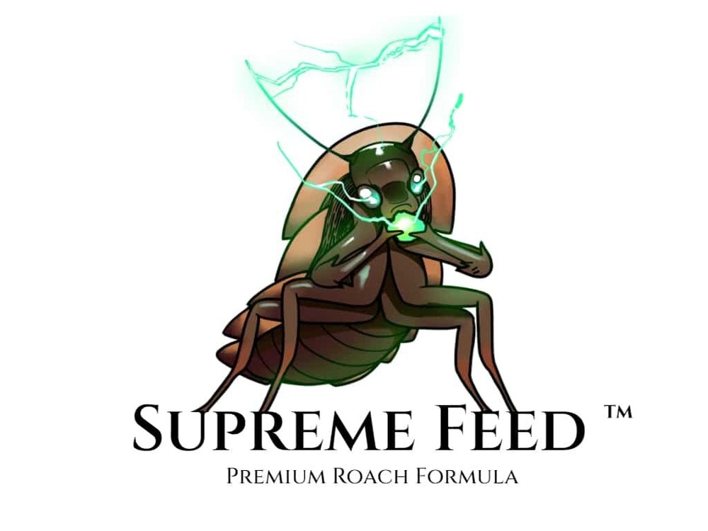 1lb Dubia Food | Perfect Gutload For Reptiles | Ships Free Nationwide