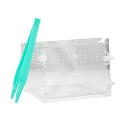 Plastic Reptile Feeding Clamp in Green for Safe and Hygienic Food Handling 20pcs