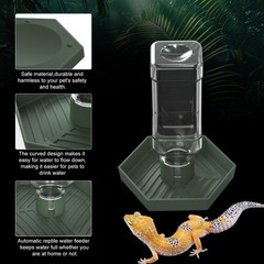 Grey Green Reptile Water Dispenser Small Bearded Dragon Bowl