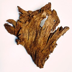 NATURAL MANGROVE DRIFTWOOD #312 WYSIWYG – AQUASCAPING, SUPER PRICE!! DECORATION