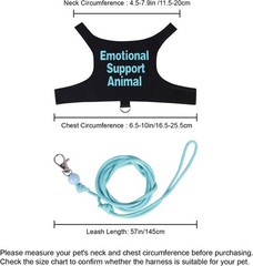 Bearded Dragon Harness and Leash Set Adjustable Reptile Lizard Medium, Blue