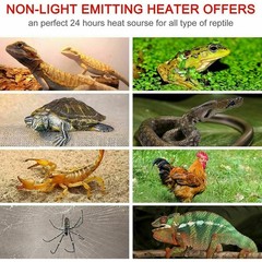 Pet Ceramic Heat Lamp Infrared Heating Emitter Reptiles Turtle Lizard Bulb E27