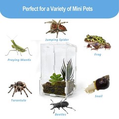 Jumping Spider Enclosure, Arboreal Tarantula Enclosure, Praying Mantis Terrar…
