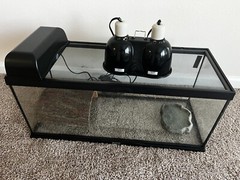 DEFECTIVE zoo med terrarium With Accessories 20 Gallon G3D