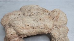 Reptile Hides Cave Hideout Habitat Decor Ornament Shelter Dessert Hide