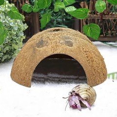 Reptile Hideouts 7 Pcs Coconut Shells 4.5″ Diameter for Gecko Lizard – Natural