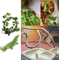 Bearded Dragon Hammock,Reptile Lounger Lizard Natural Seagrass Habitat Decor Rep