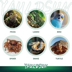 125w Uvb Uva Reptile Basking Heat Light Bulbs Uv Sun Lamp For Bearded Dragon Liz