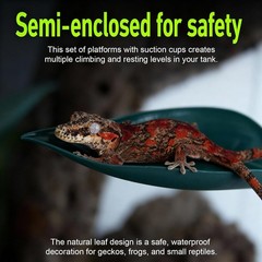 5pcs Crested Gecko Tank Accessories Wall Climbing Gecko,3pcs Grass Green Leaf