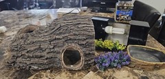reptile supplies